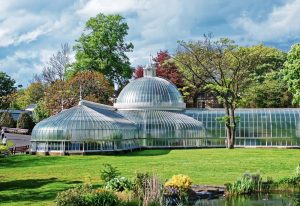 Glasgow Botanic Gardens