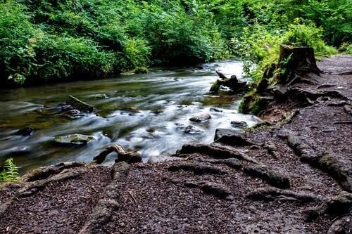 Rouken Glen Park